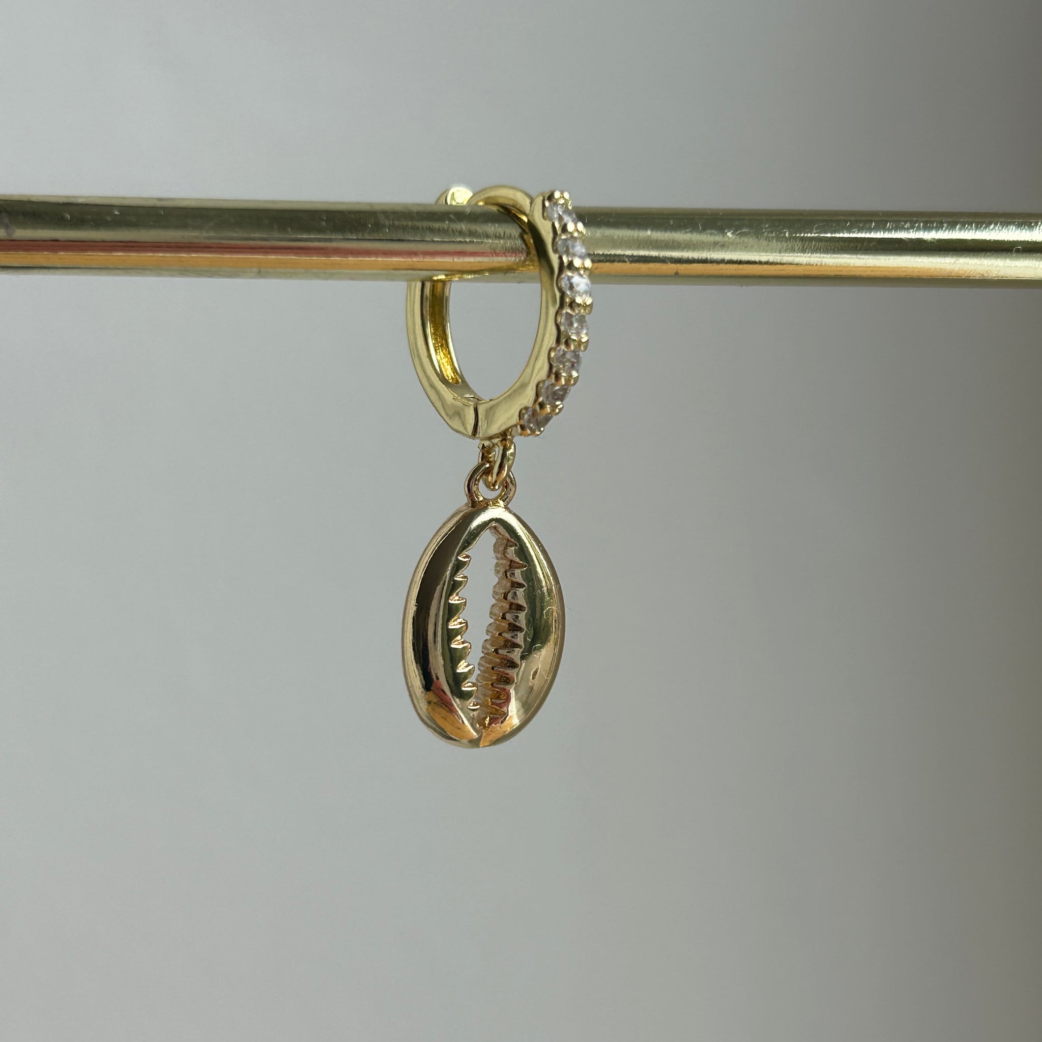 Schelp 5