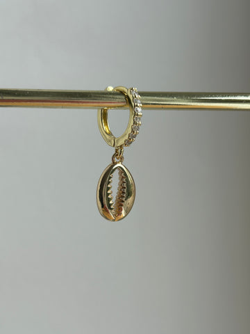 Schelp 5