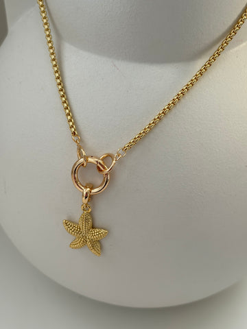 Basisketting Zeester