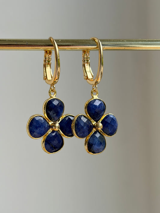 Iris Blauw