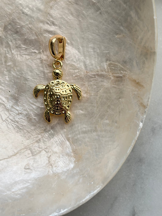 Losse bedel Schildpad