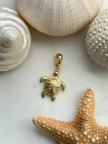 Losse bedel Schildpad