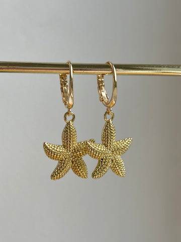 Starfish