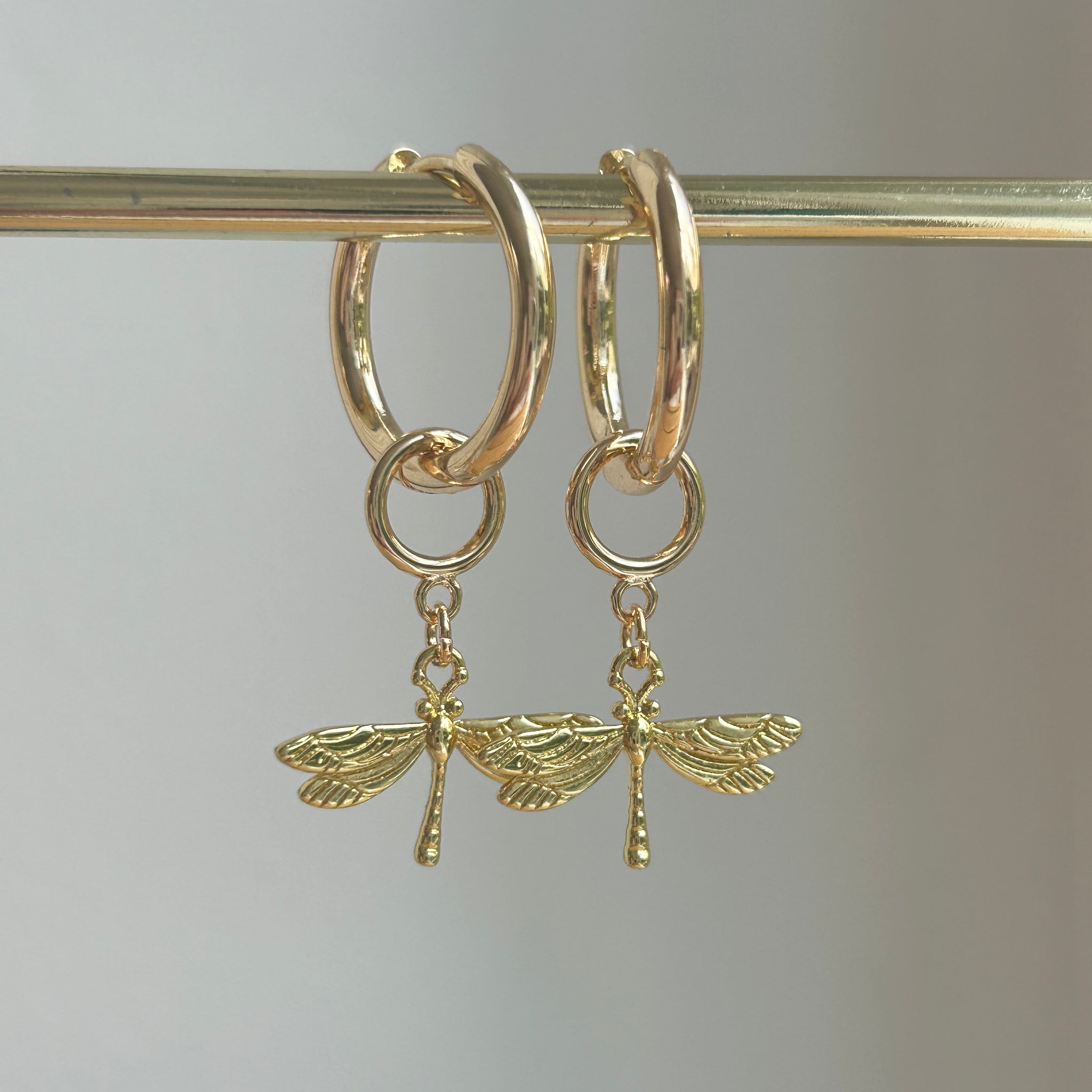 Little Dragonfly