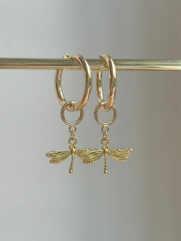 Little Dragonfly