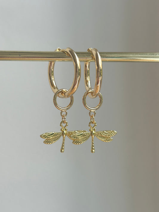 Little Dragonfly