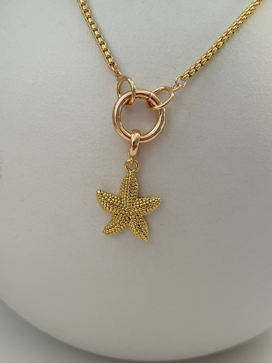 Basisketting Zeester