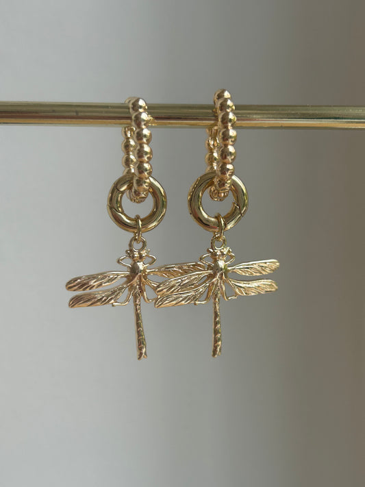 Dragonfly