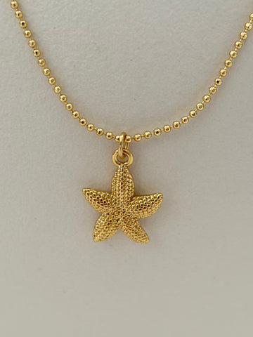 Ketting Zeester klein