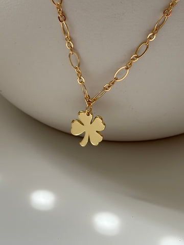 Lucky you!